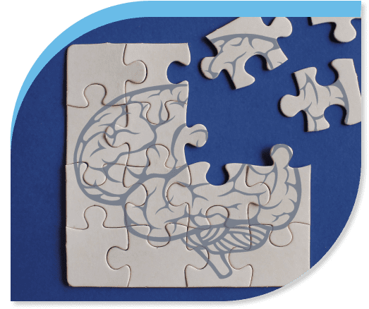 Executive Function Coach​