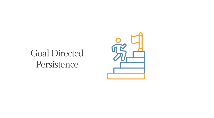 goal directed persistence executive function skills