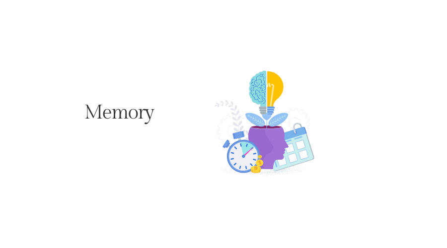 Memory Executive Function skills