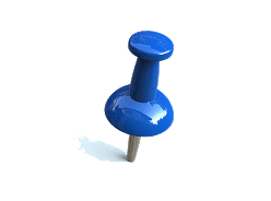 Pin Icon